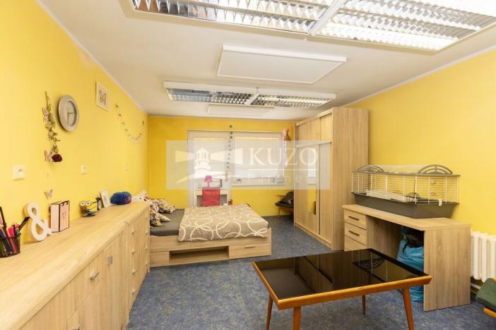 Prodej rodinného domu, Mladá Boleslav, Pod ořechy, 200 m2