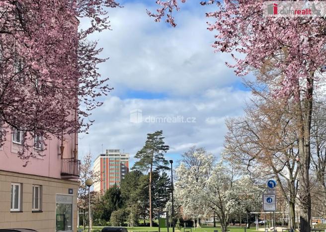 Pronájem bytu 2+kk, Zlín, Sadová, 51 m2