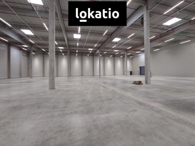 Pronájem skladu, Kozomín, 7420 m2