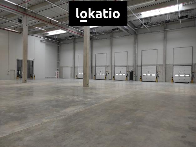 Pronájem skladu, Kozomín, 7420 m2