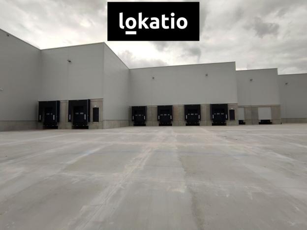 Pronájem skladu, Kozomín, 7420 m2