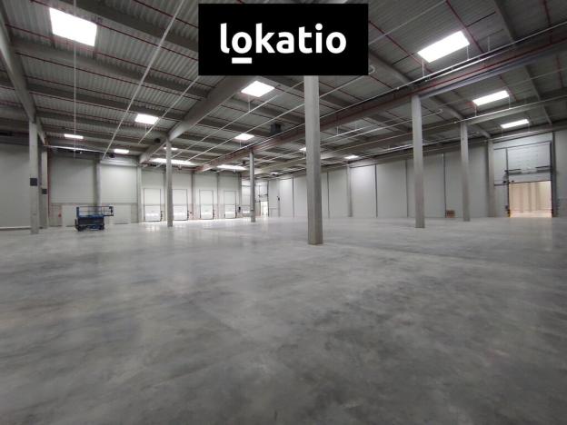 Pronájem skladu, Kozomín, 7420 m2