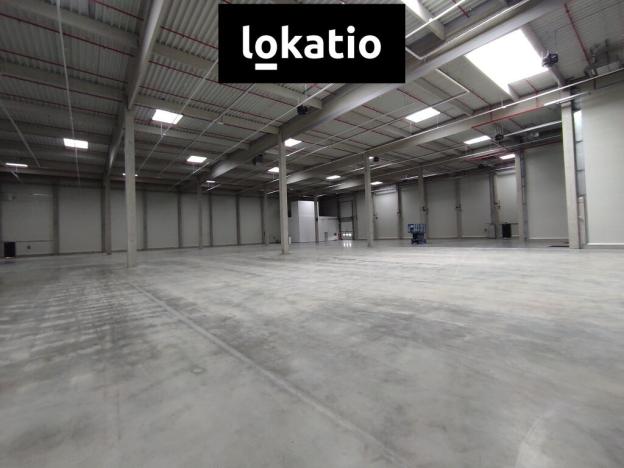 Pronájem skladu, Kozomín, 7420 m2
