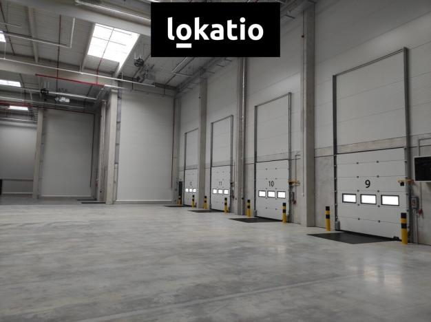 Pronájem skladu, Kozomín, 7420 m2