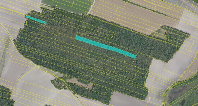 Prodej lesa, Stará Lysá, 11978 m2