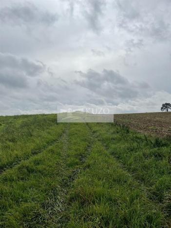 Prodej sadu/vinice, Velké Všelisy - Zamachy, 11900 m2