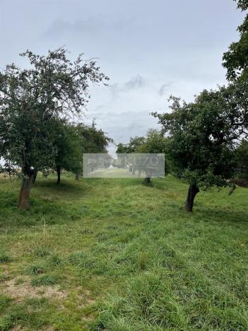 Prodej sadu/vinice, Velké Všelisy - Zamachy, 11900 m2