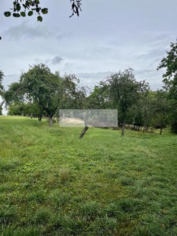 Prodej sadu/vinice, Velké Všelisy - Zamachy, 11900 m2