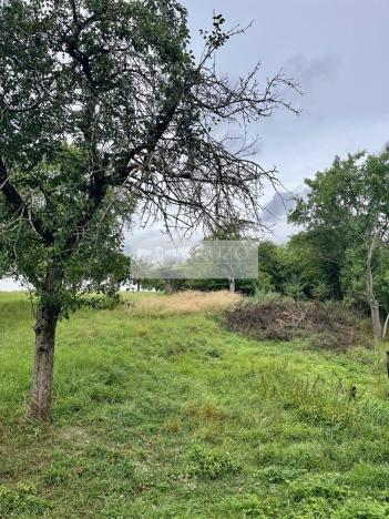 Prodej sadu/vinice, Velké Všelisy - Zamachy, 11900 m2