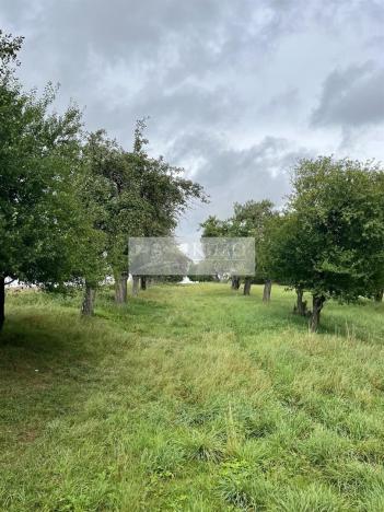 Prodej sadu/vinice, Velké Všelisy - Zamachy, 11900 m2