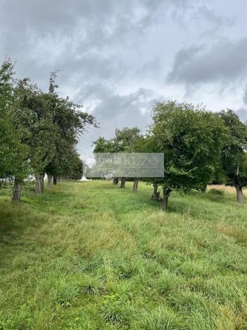 Prodej sadu/vinice, Velké Všelisy - Zamachy, 11900 m2