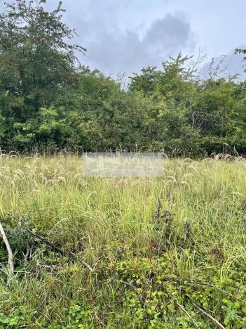 Prodej sadu/vinice, Velké Všelisy - Zamachy, 11900 m2