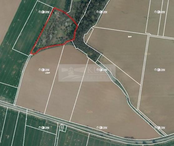 Prodej sadu/vinice, Velké Všelisy - Zamachy, 11900 m2