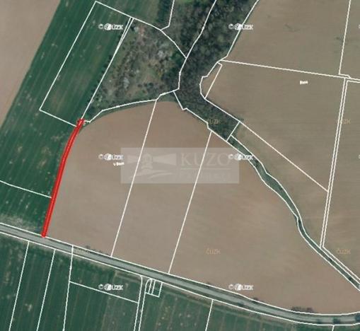 Prodej sadu/vinice, Velké Všelisy - Zamachy, 11900 m2