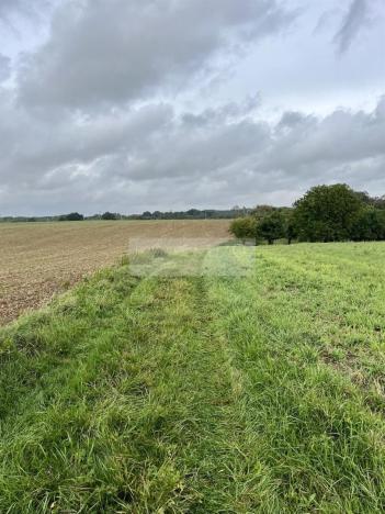 Prodej sadu/vinice, Velké Všelisy - Zamachy, 11900 m2