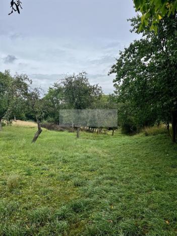 Prodej sadu/vinice, Velké Všelisy - Zamachy, 11900 m2