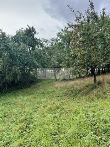 Prodej sadu/vinice, Velké Všelisy - Zamachy, 11900 m2