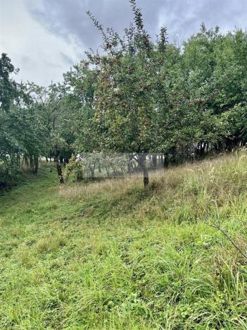 Prodej sadu/vinice, Velké Všelisy - Zamachy, 11900 m2