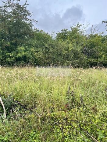 Prodej sadu/vinice, Velké Všelisy - Zamachy, 11900 m2