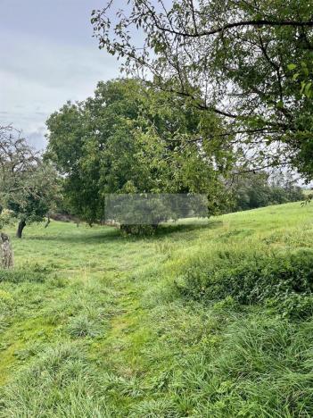 Prodej sadu/vinice, Velké Všelisy - Zamachy, 11900 m2
