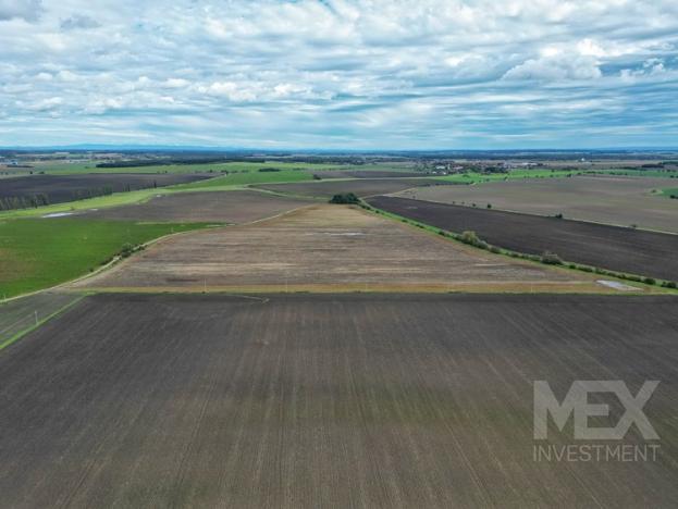 Prodej pole, Lužec nad Cidlinou, 21894 m2