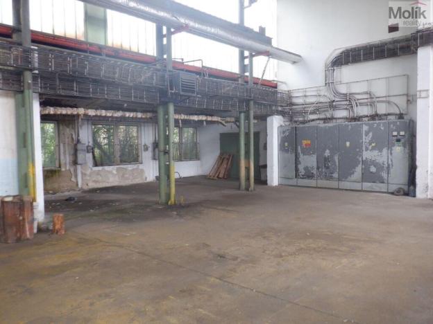 Pronájem výrobních prostor, Chomutov, Beethovenova, 2500 m2