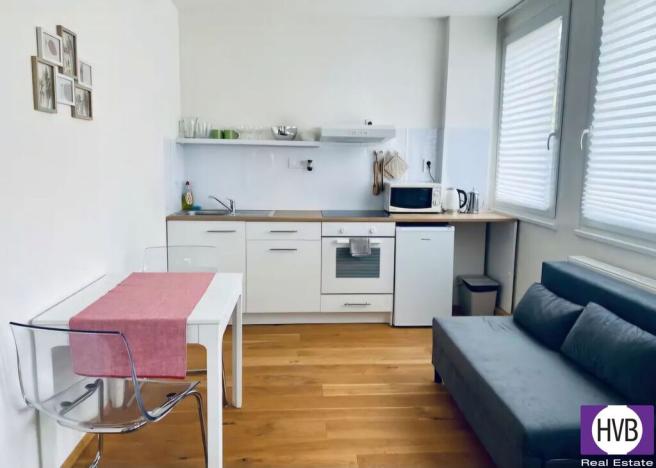 Pronájem bytu 1+kk, Praha - Vinohrady, Perucká, 23 m2