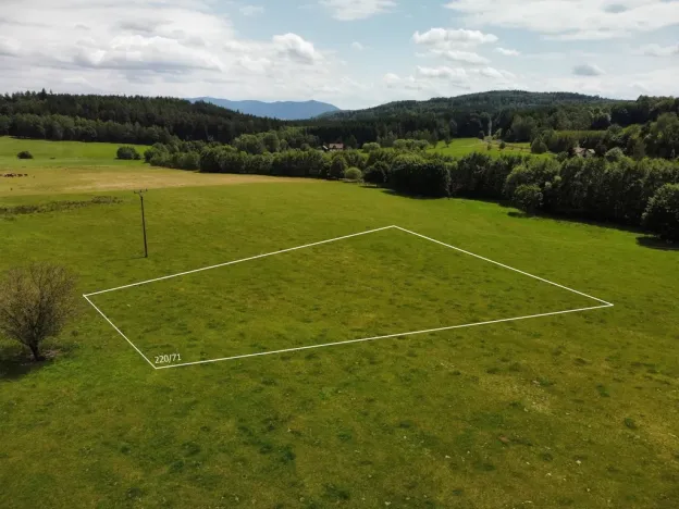 Prodej pozemku pro bydlení, Česká Kubice - Starý Spálenec, 2028 m2