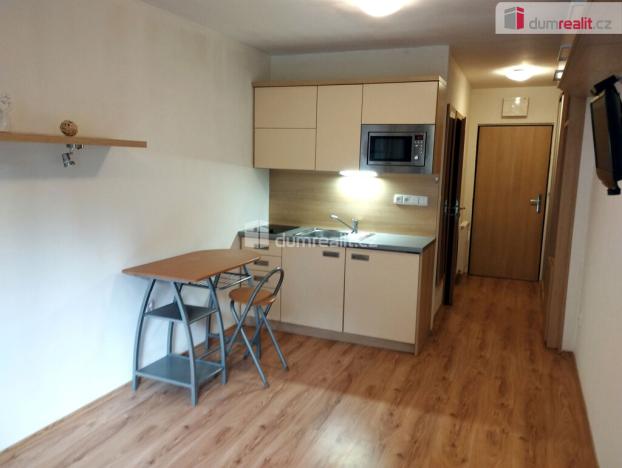 Pronájem bytu 1+kk, Všemina, 23 m2