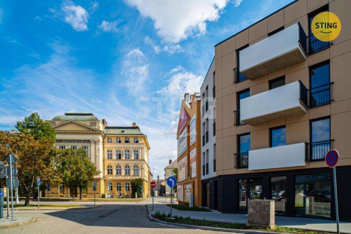 Prodej bytu 3+kk, Prostějov, Mlýnská, 184 m2