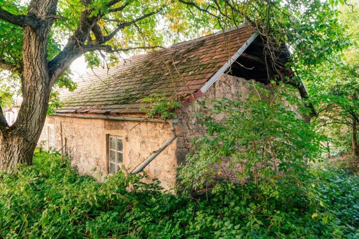 Prodej zemědělské usedlosti, Lešany - Břežany, 300 m2