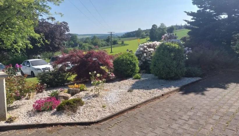 Prodej rodinného domu, Neualbenreuth,Německo, 2136 m2