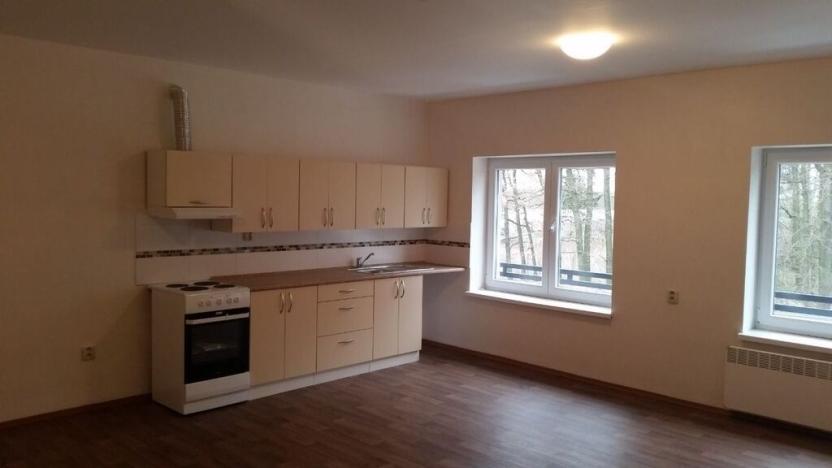 Pronájem bytu 1+kk, Javorník - Bílý Potok, 38 m2