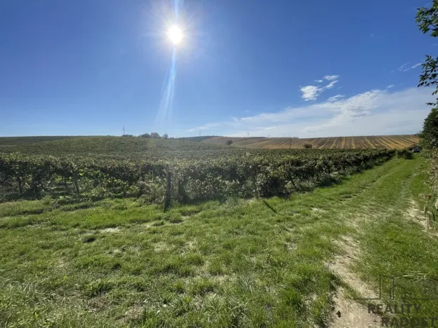 Prodej sadu/vinice, Čejkovice, 11340 m2