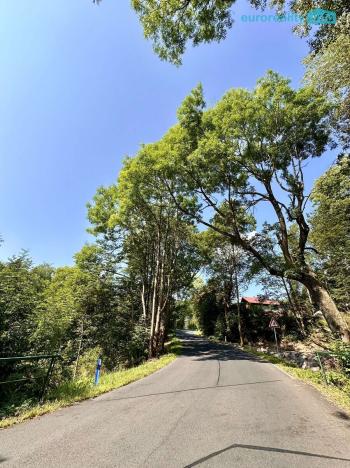 Prodej pozemku pro bydlení, Merklín - Lípa, 1004 m2