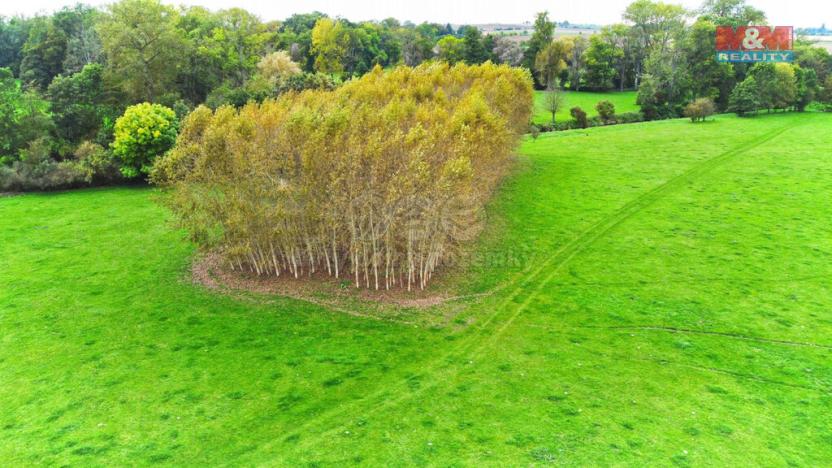 Prodej lesa, Skřivany, 1461 m2