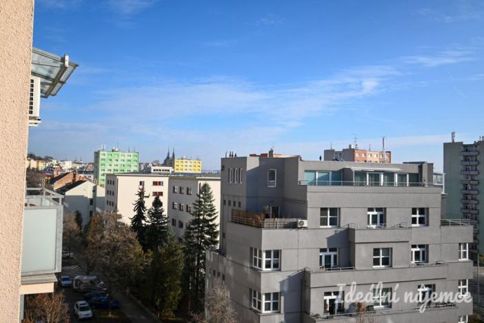 Pronájem bytu 2+1, Brno - Staré Brno, Výstavní, 59 m2