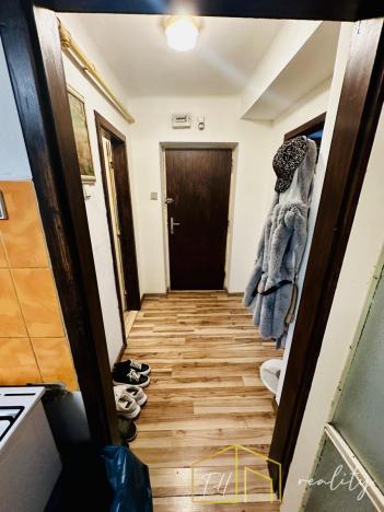 Prodej bytu 2+1, Bílina - Teplické Předměstí, Sídliště SHD, 48 m2