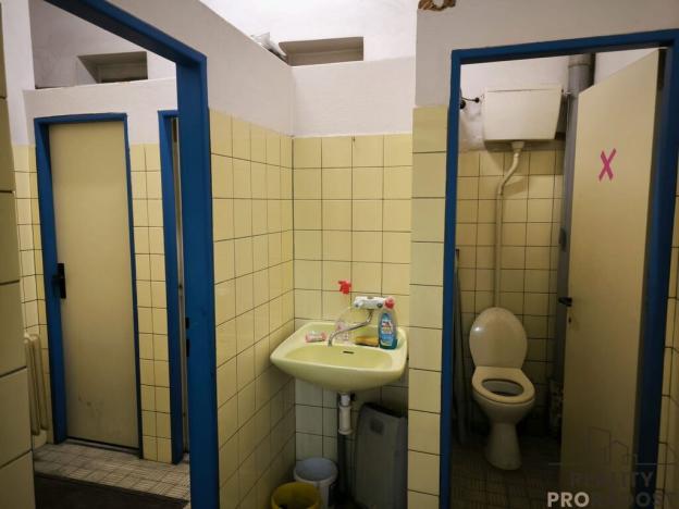 Prodej obchodního prostoru, Dnešice - Černotín, 268 m2