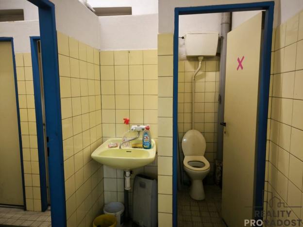 Prodej obchodního prostoru, Dnešice - Černotín, 268 m2