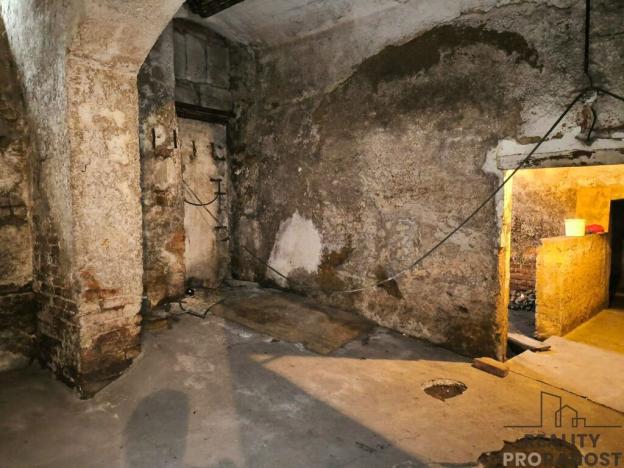 Prodej obchodního prostoru, Dnešice - Černotín, 268 m2