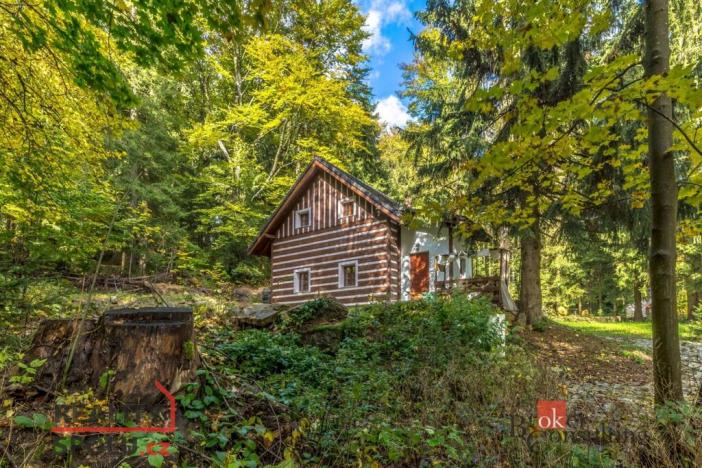 Prodej chalupy, Lučany nad Nisou, 87 m2