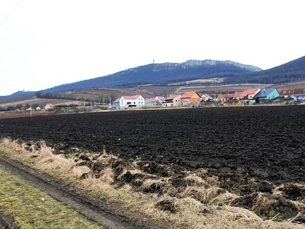 Prodej pozemku pro bydlení, Horní Věstonice, 1592 m2