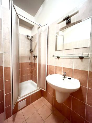 Pronájem bytu 1+kk, České Budějovice - České Budějovice 5, Suchovrbenské nám., 42 m2