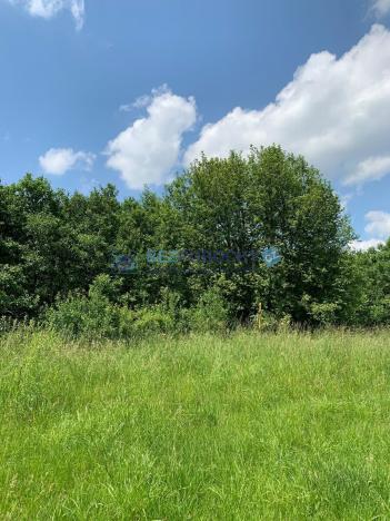 Prodej pozemku pro bydlení, Liběšice - Zimoř, 8000 m2