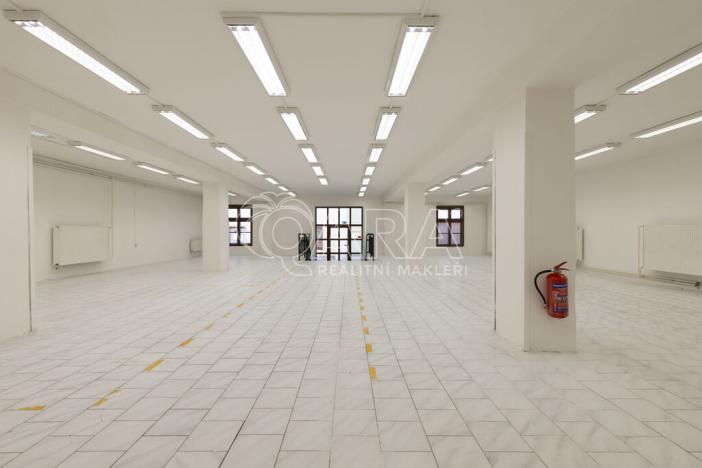 Pronájem obchodního prostoru, Nový Jičín, Masarykovo nám., 500 m2