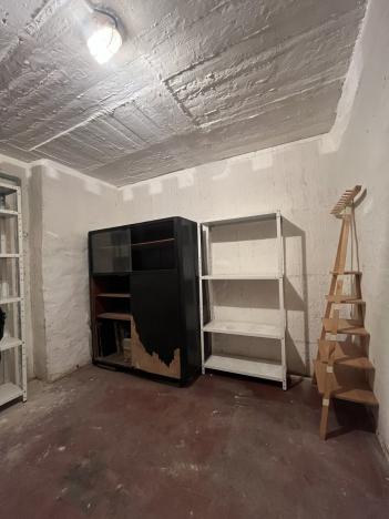 Pronájem bytu 3+kk, Ostrava - Hrabůvka, Provaznická, 54 m2