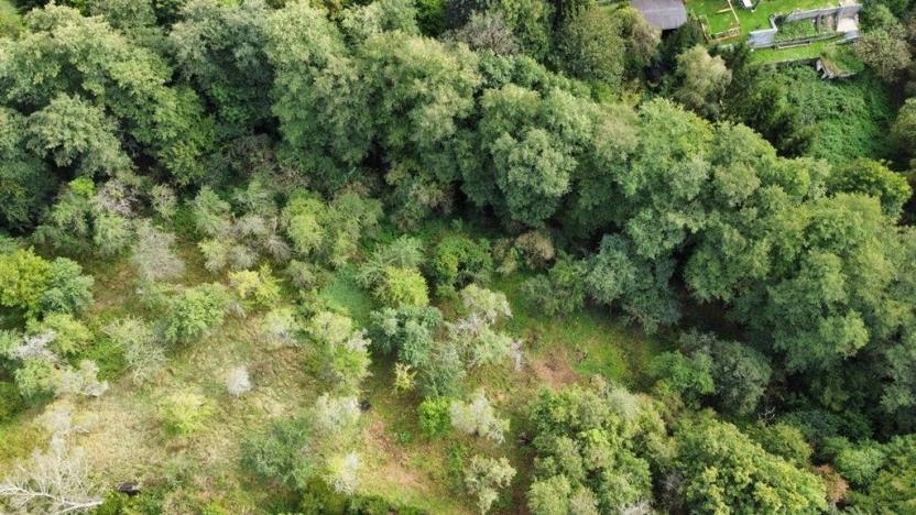 Prodej zahrady, Hýskov, 1984 m2