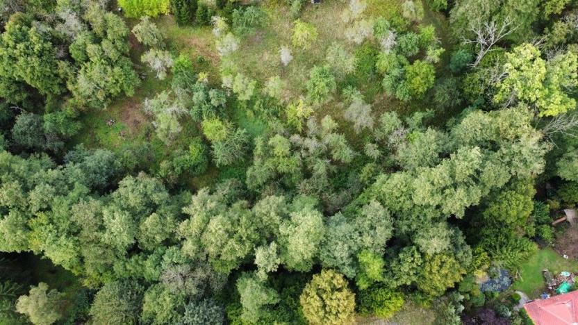 Prodej zahrady, Hýskov, 1984 m2