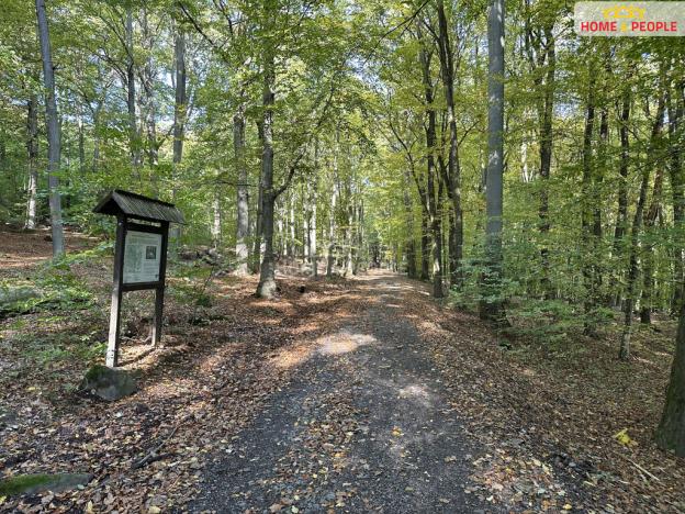 Prodej pozemku pro bydlení, Černé Voděrady, Černokostelecká, 1244 m2